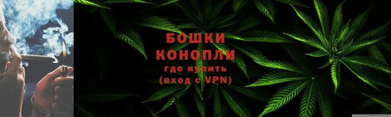 mega ССЫЛКА  Фатеж  Бошки Шишки THC 21%  даркнет сайт 